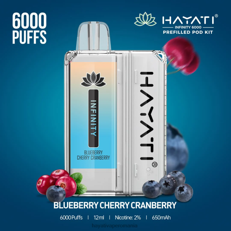 Hayati Infinity 6000 de truse de pod afine cireș merișor BF68L145 Hayati Flavour List