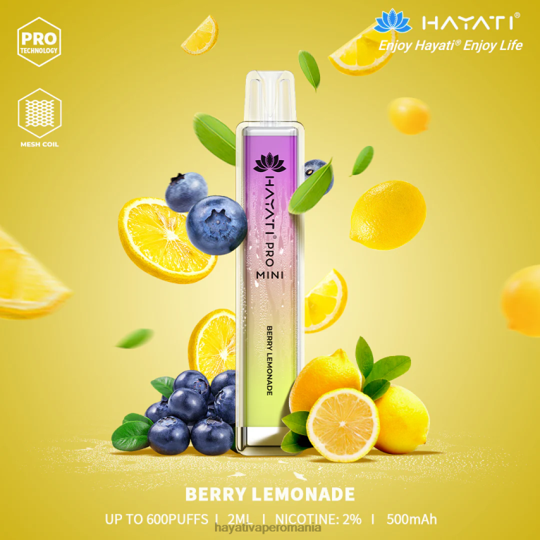 limonada cu fructe de padure