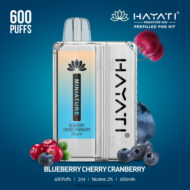 Hayati Miniature 600 de truse de pod afine cireș merișor BF68L31 Hayati Romania