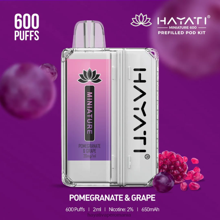Hayati Miniature 600 de truse de pod rodie și struguri BF68L42 Hayati Bucharest